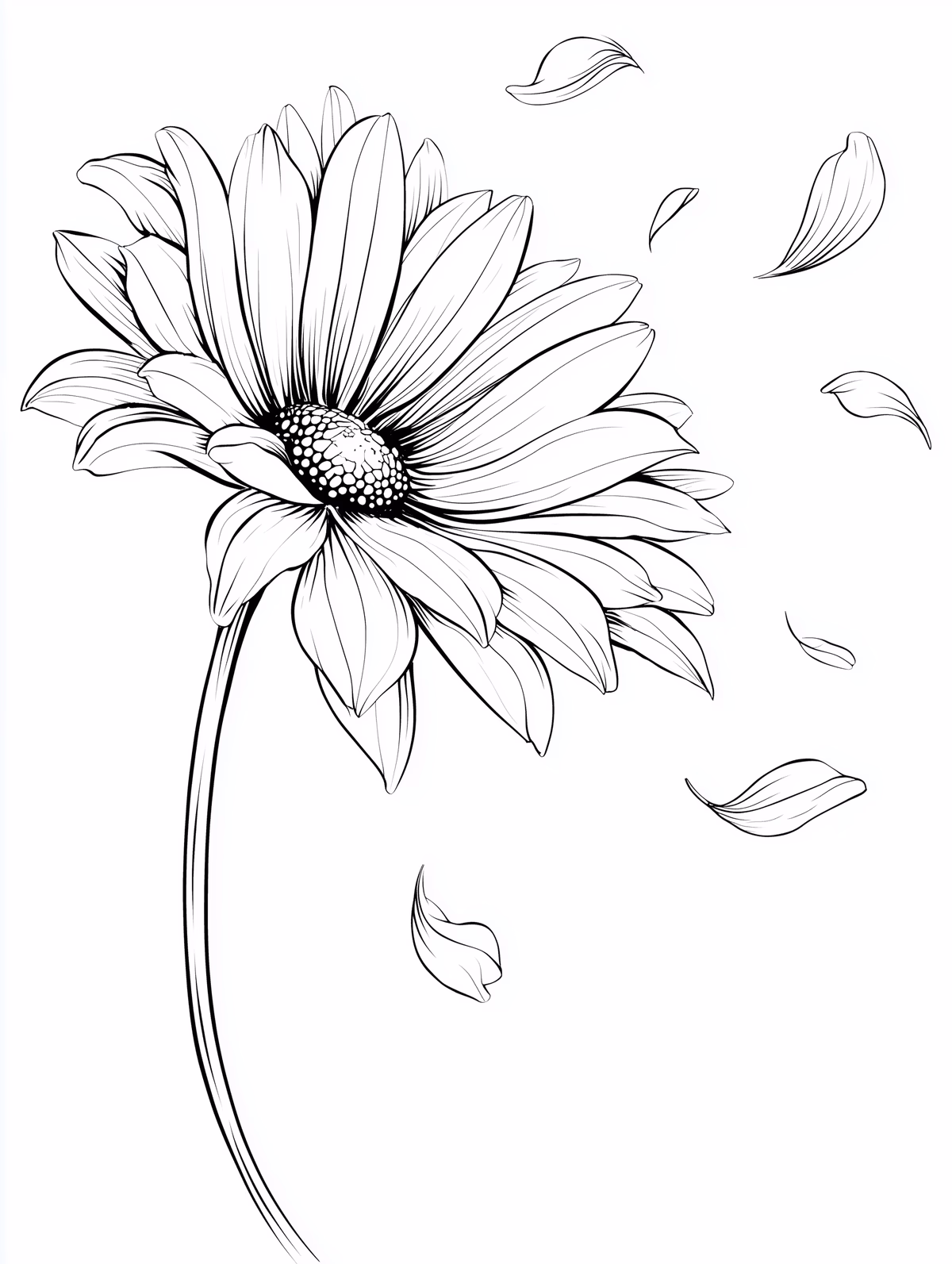 Gerbera Daisy with Falling Petals