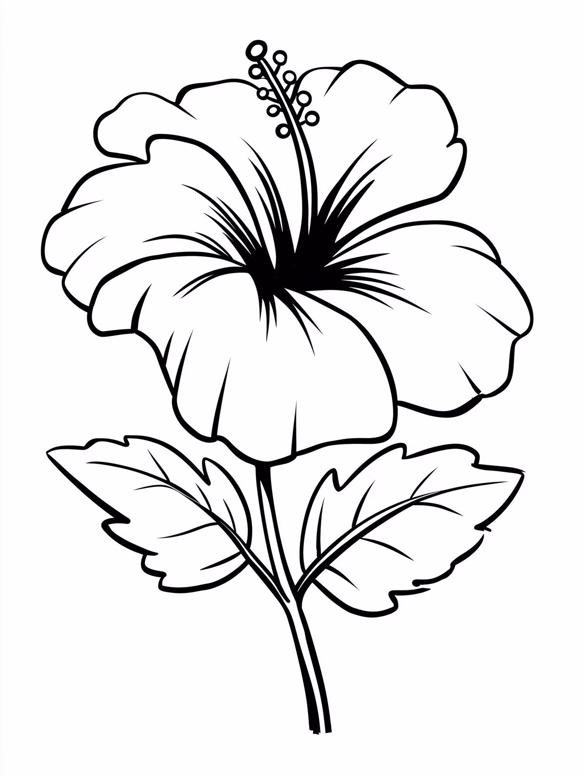 Hibiscus Flower Line Art