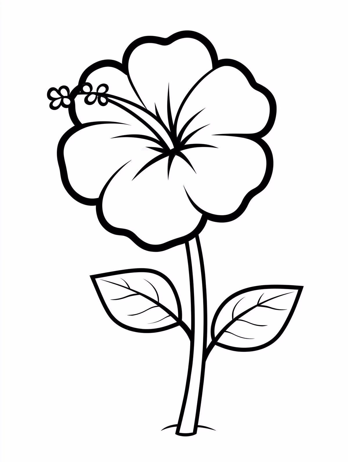 Hibiscus Flower with Buds