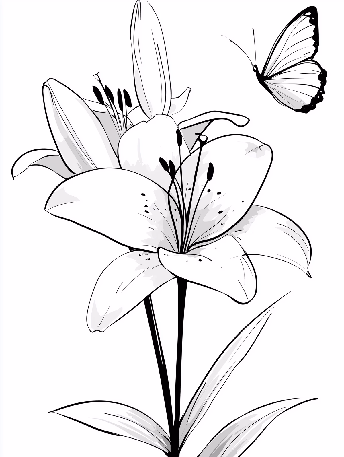 Lily with Butterfly Line Art