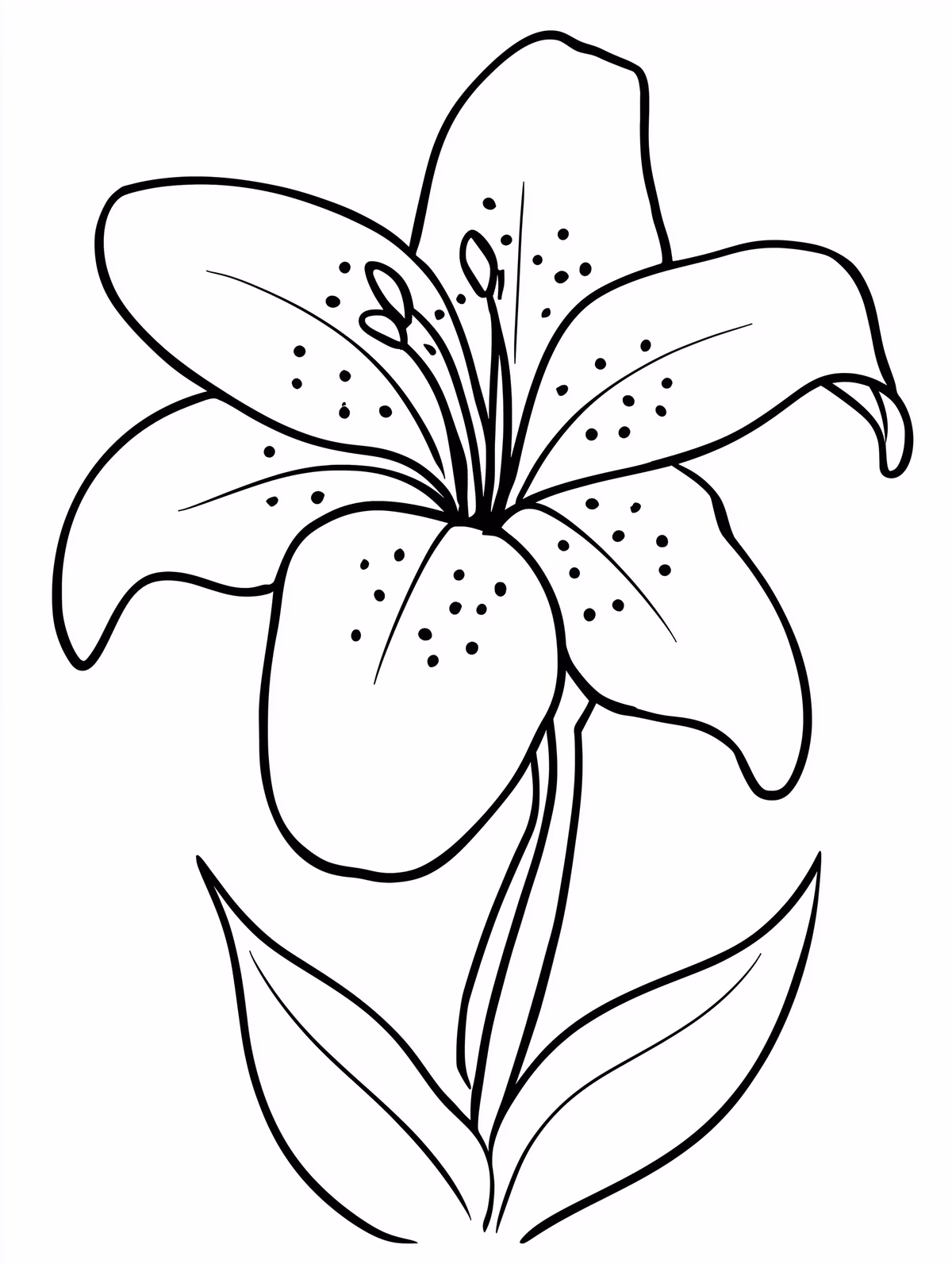 Lily Flower Single Bloom