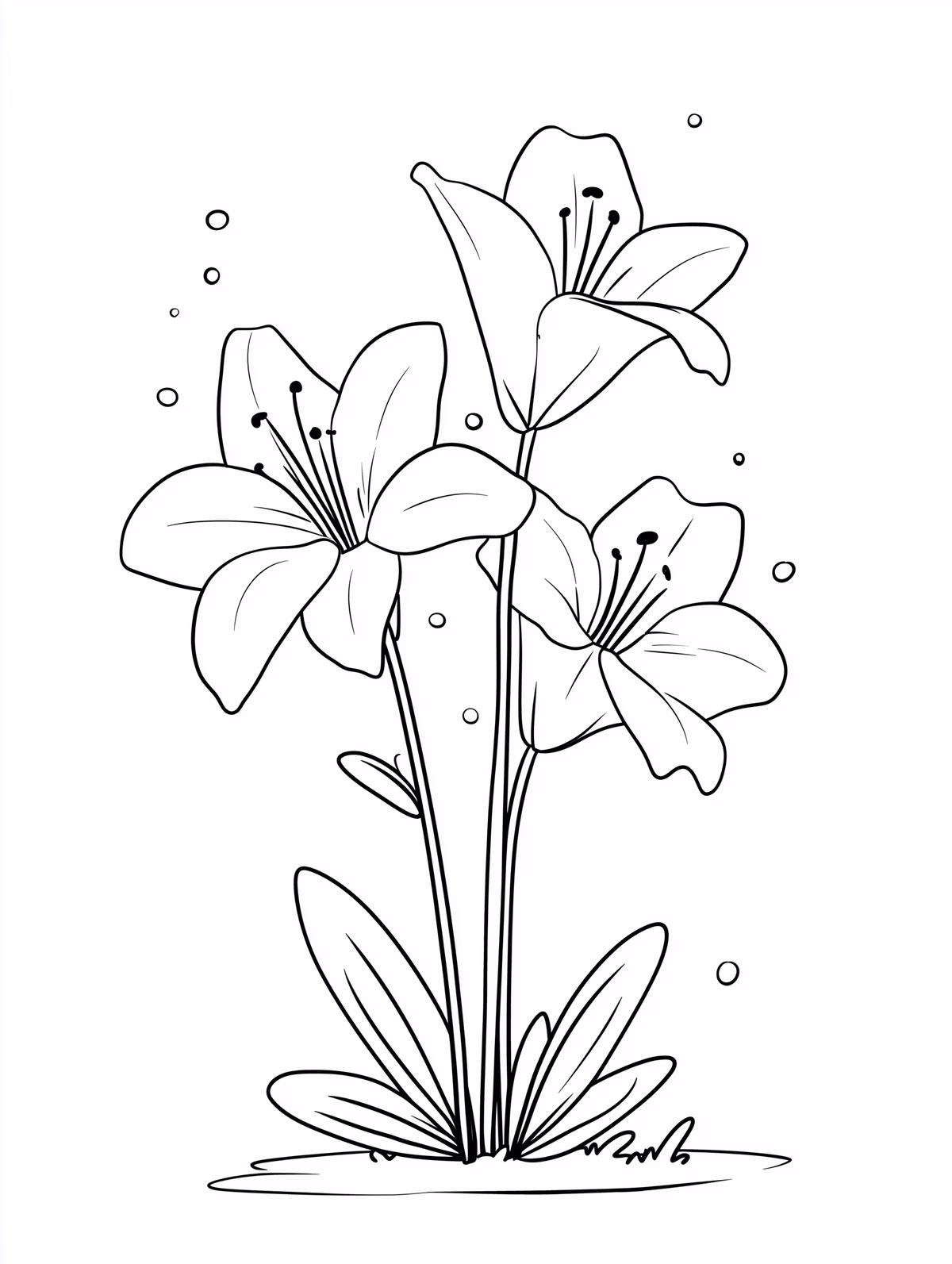 Lily Flowers with Simple Line Art