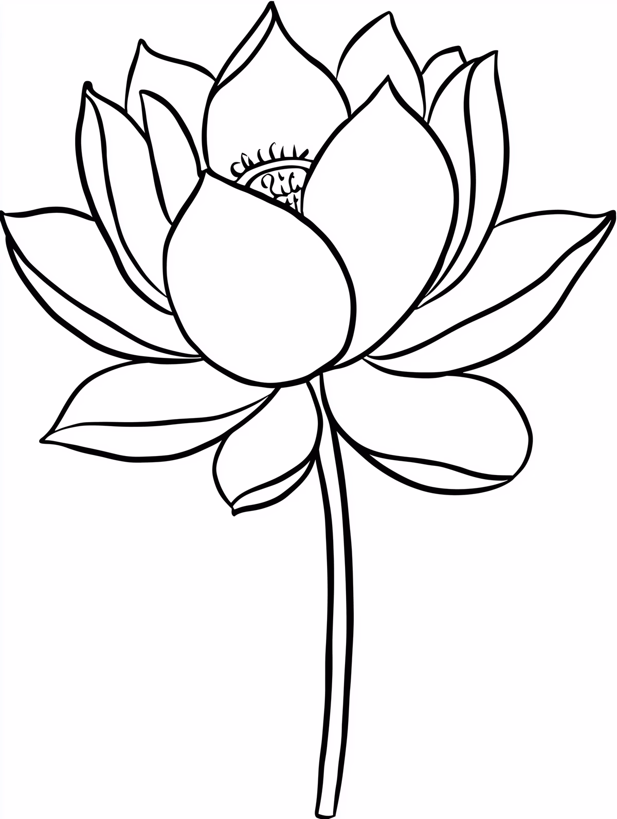 Lotus Flower Line Art