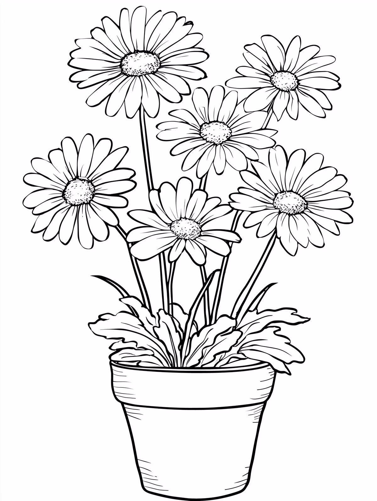 Potted Gerbera Daisies Bouquet