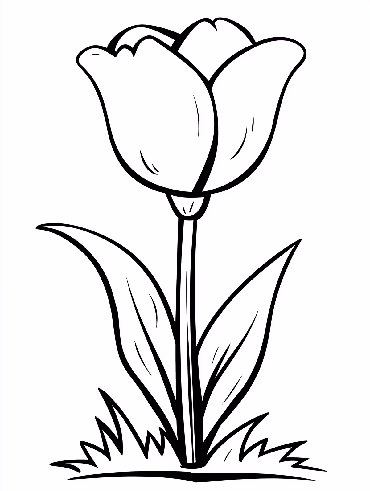 Simple Tulip Flower