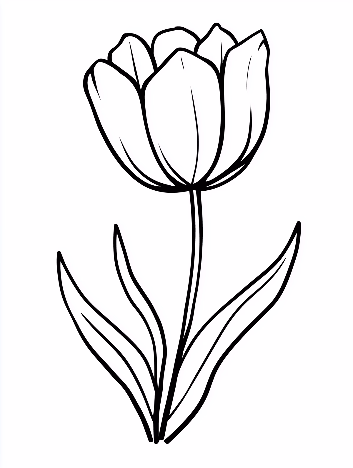 Simple Tulip Flower Outline