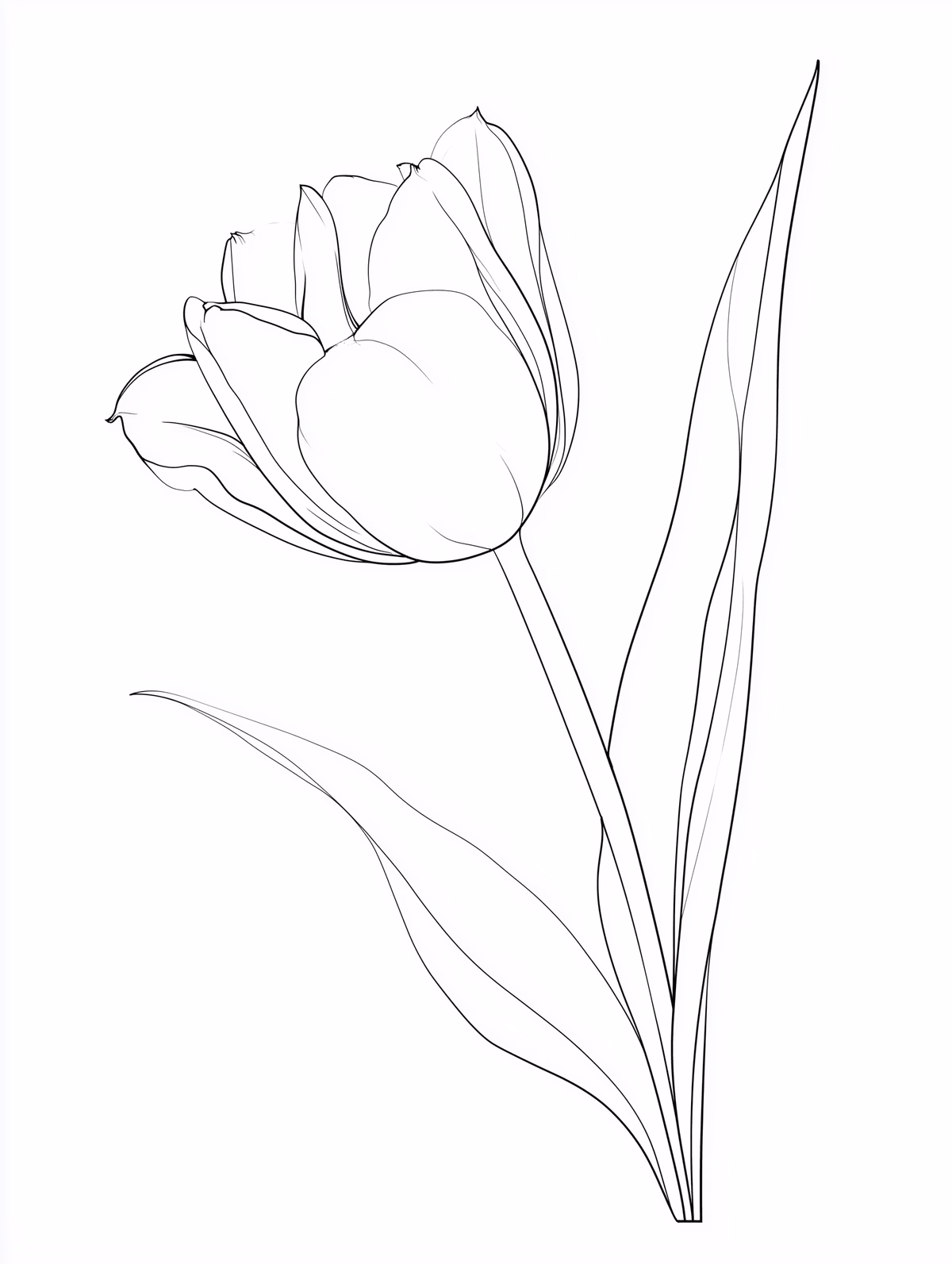 Single Tulip Line Drawing Coloring Page