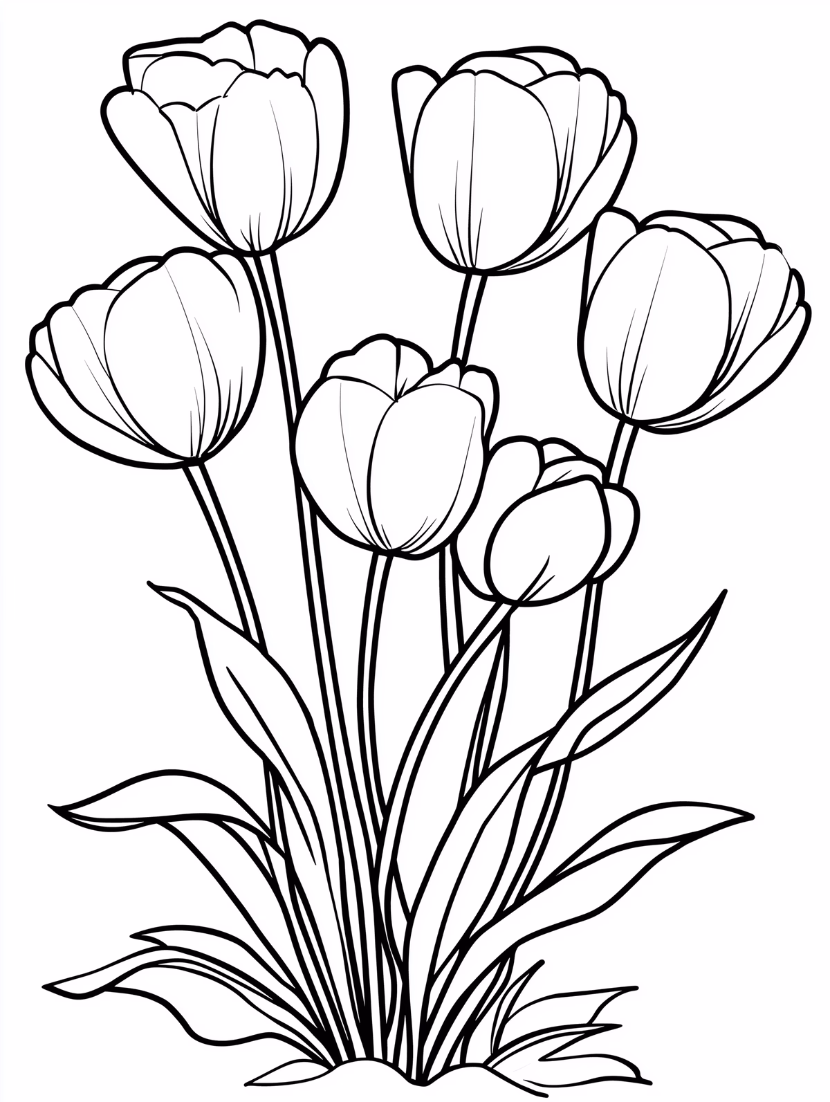 Tulip Bouquet